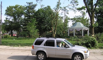 Elmwood Central Park after wind storm 2009